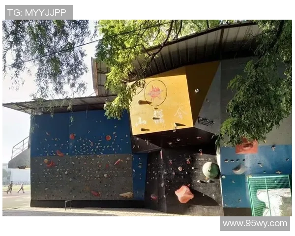 杭州攀岩队的蜕变之旅：从传统训练到现代竞技的全新探索